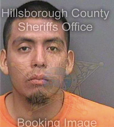 Martinez Daniel - Hillsborough County, FL 