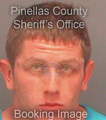 Tilman Daniel - Pinellas County, FL 