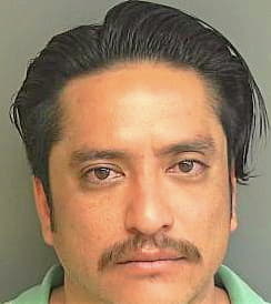 Mireles-Rico Juan - Douglas County, GA 