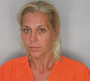 Mcveigh Lisa - Hillsborough County, FL 
