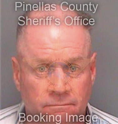 Shannon Thomas - Pinellas County, FL 