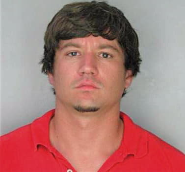 Sichel Dennis - Hillsborough County, FL 