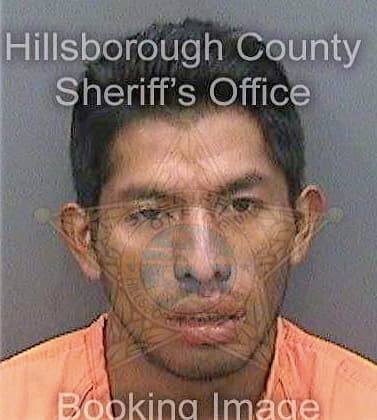 Santiagoramirez Rufino - Hillsborough County, FL 