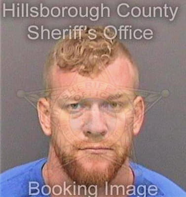 Freeman David - Hillsborough County, FL 