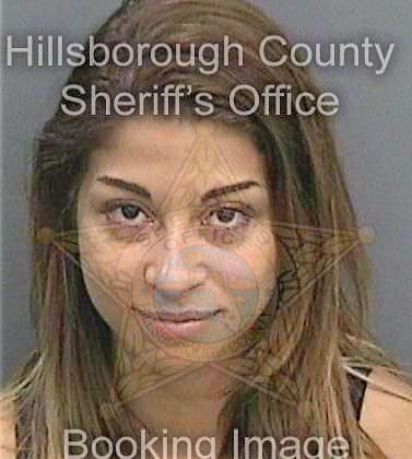 Marcano Ushanaki - Hillsborough County, FL 