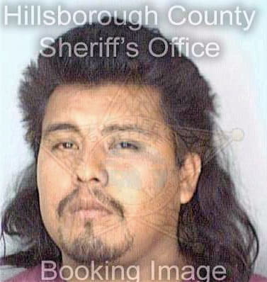 Bazan Alvaro - Hillsborough County, FL 