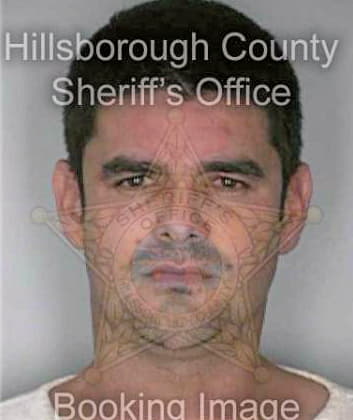 Gonzalez Ovidio - Hillsborough County, FL 