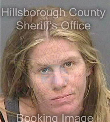 Messer Shannon - Hillsborough County, FL 