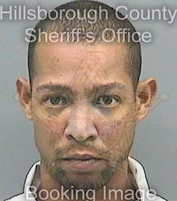 Balaguer John - Hillsborough County, FL 