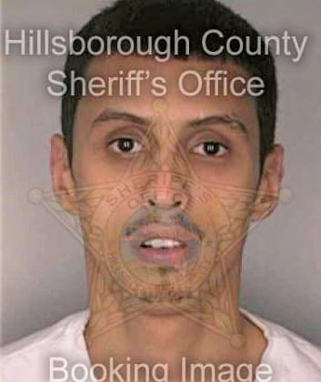 Garcia Emilio - Hillsborough County, FL 