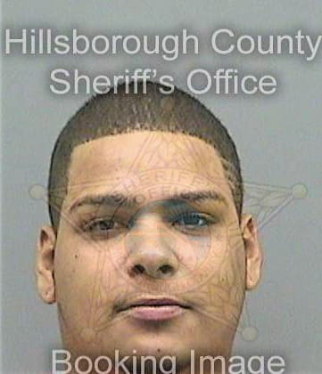 Gonzalezmarrero Hector - Hillsborough County, FL 