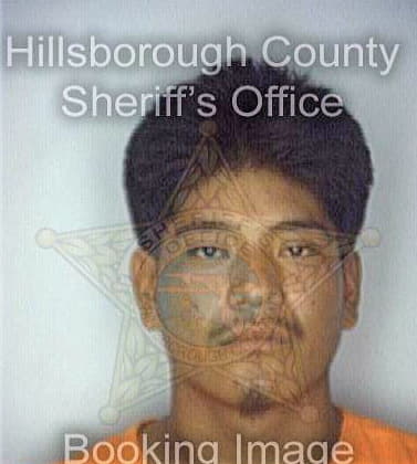 Triguerro Artemio - Hillsborough County, FL 