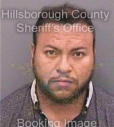 Martineztrejo Rodrigo - Hillsborough County, FL 