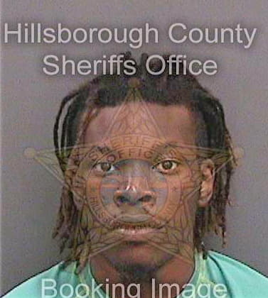 Coomber Louis - Hillsborough County, FL 