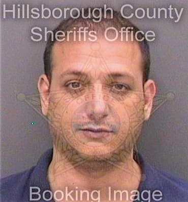 Sarsour Hady - Hillsborough County, FL 