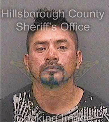 Castizodiaz Josafat - Hillsborough County, FL 