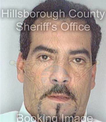 Maldonado Nelson - Hillsborough County, FL 