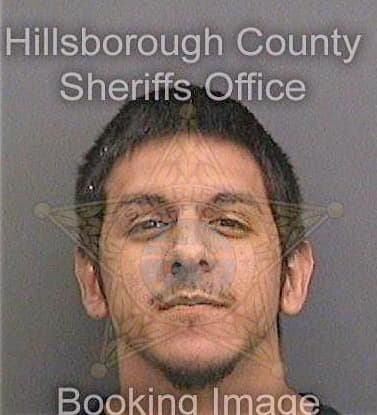 Delgado Mario - Hillsborough County, FL 