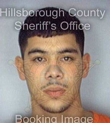 Perez Rogelio - Hillsborough County, FL 