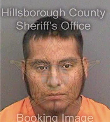 Lopezyesca Oscar - Hillsborough County, FL 