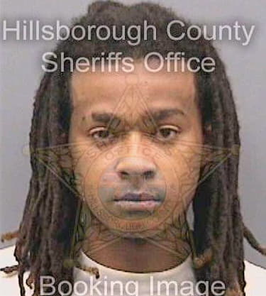 Pino Javis - Hillsborough County, FL 