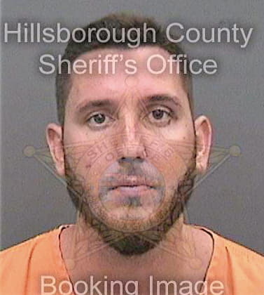 Bristow Christopher - Hillsborough County, FL 