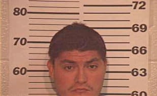 Delgado Eric - Hidalgo County, TX 