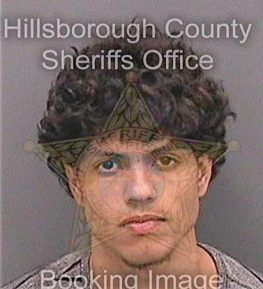 Martinezlaboy Miguel - Hillsborough County, FL 