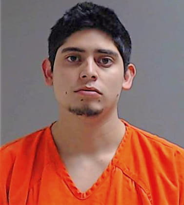 Hernandez Anthony - Hidalgo County, TX 