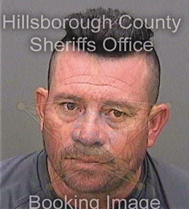 Mejia Carlos - Hillsborough County, FL 