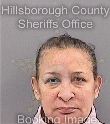 Dejesus Arleen - Hillsborough County, FL 