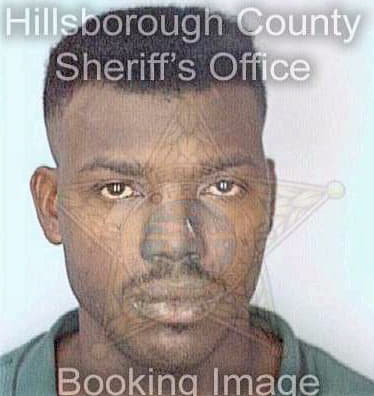 Warren Michael - Hillsborough County, FL 