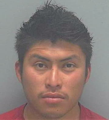 Simon-Ailon Amilcar - Lee County, FL 