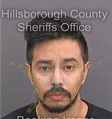 Bonillamagen Enrique - Hillsborough County, FL 