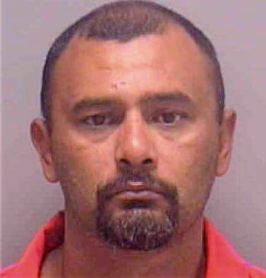 Adame Domingo - Lee County, FL 