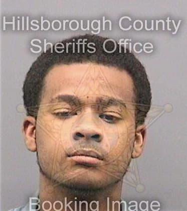 Pino Javis - Hillsborough County, FL 