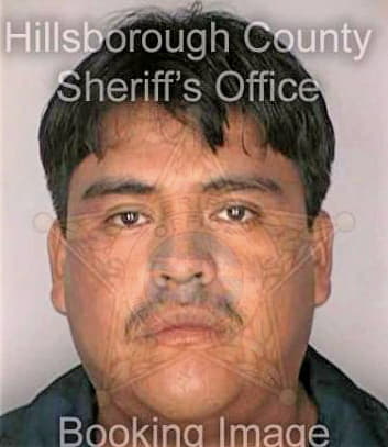 Granados Jorge - Hillsborough County, FL 