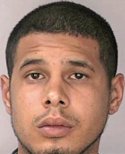Smith Anthony - Hillsborough County, FL 