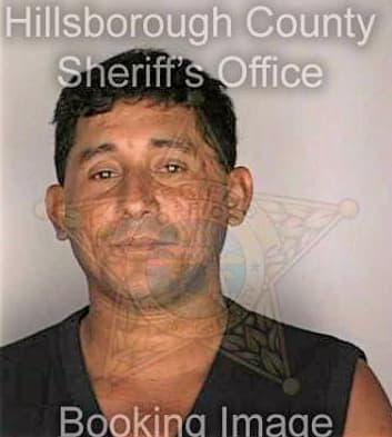 Mendozabalderramo Donald - Hillsborough County, FL 