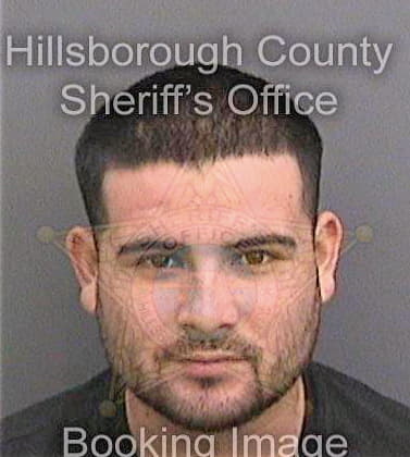 Cerda Juan - Hillsborough County, FL 