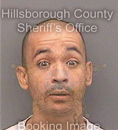 Bates Paul - Hillsborough County, FL 