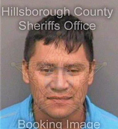 Diazhernandez Marcelino - Hillsborough County, FL 