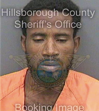 Hamilton Tavel - Hillsborough County, FL 