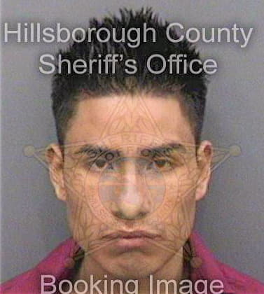 Gonzalez Victoriano - Hillsborough County, FL 