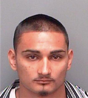 Hernandez Cesar - Pinellas County, FL 