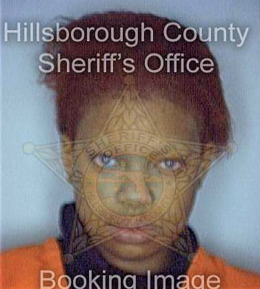 Simpson Ayyanna - Hillsborough County, FL 