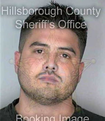 Deleon Nelson - Hillsborough County, FL 