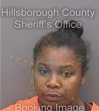 Mckinney Payge - Hillsborough County, FL 