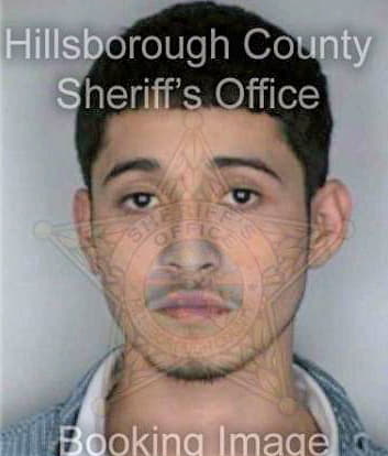 Guerra Tony - Hillsborough County, FL 