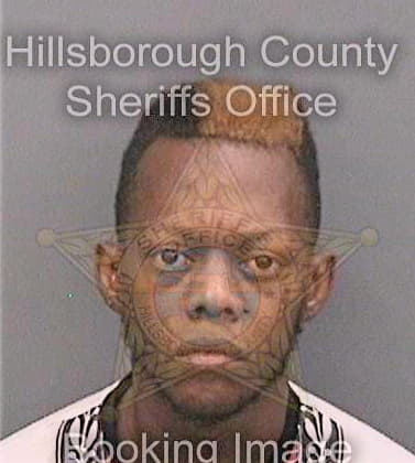 Blaylock Andre - Hillsborough County, FL 